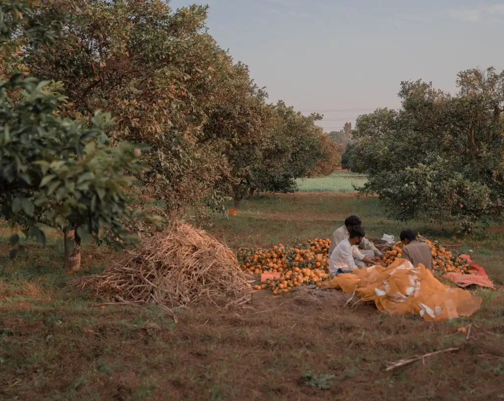 童装选购指南：纯棉亲肤面料如何提升儿童穿着舒适度与安全性